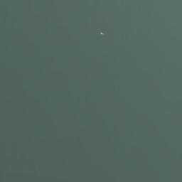 Satellite imagery of survey_point, DZ