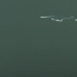 Satellite imagery of survey_point, DZ