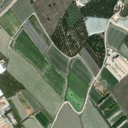Satellite imagery of survey_point, DZ