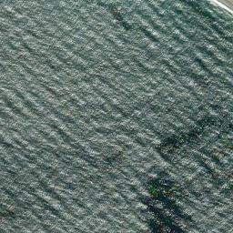 Satellite imagery of survey_point, DZ