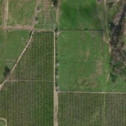 Satellite imagery of CORN — NGS GT1390 — Fresno County, US, US