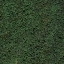 Satellite imagery of Tooley Ridge, US
