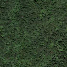 Satellite imagery of Tooley Ridge, US
