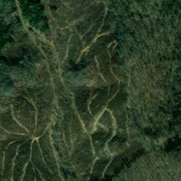 Satellite imagery of Moccasin Ridge, US