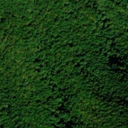Satellite imagery of Bear Ridge, US