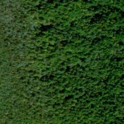 Satellite imagery of Bald Rock Ridge, US
