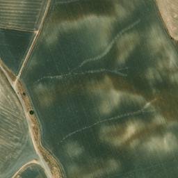 Satellite imagery of survey_point, DZ