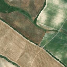 Satellite imagery of survey_point, DZ