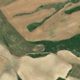 Satellite imagery of survey_point, DZ