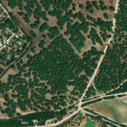 Satellite imagery of survey_point, DZ