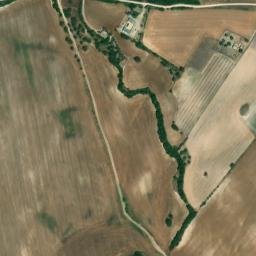 Satellite imagery of survey_point, DZ