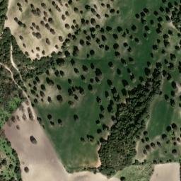 Satellite imagery of survey_point, DZ