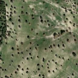 Satellite imagery of survey_point, DZ