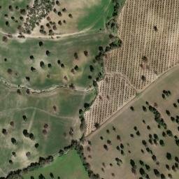 Satellite imagery of survey_point, DZ