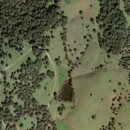 Satellite imagery of survey_point, DZ