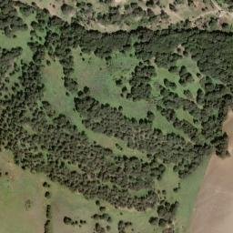 Satellite imagery of survey_point, DZ