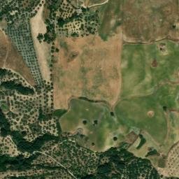 Satellite imagery of survey_point, DZ