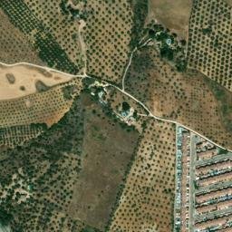 Satellite imagery of survey_point, DZ