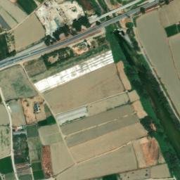 Satellite imagery of survey_point, DZ