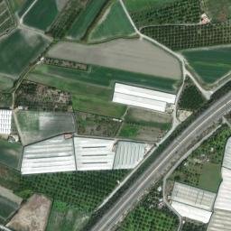 Satellite imagery of survey_point, DZ