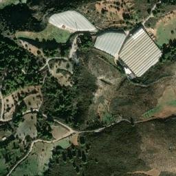Satellite imagery of survey_point, DZ