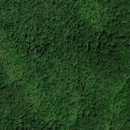 Satellite imagery of Rattlesnake Ridge, US