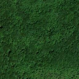 Satellite imagery of Rattlesnake Ridge, US