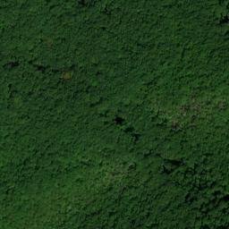 Satellite imagery of Pine Spur, US