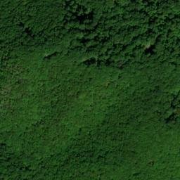 Satellite imagery of Pine Spur, US