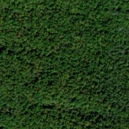Satellite imagery of Bald Rock Ridge, US