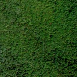 Satellite imagery of Bald Rock Ridge, US