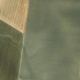 Satellite imagery of survey_point, DZ