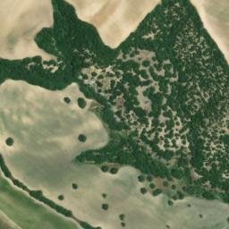 Satellite imagery of survey_point, DZ
