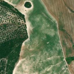 Satellite imagery of survey_point, DZ