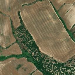 Satellite imagery of survey_point, DZ