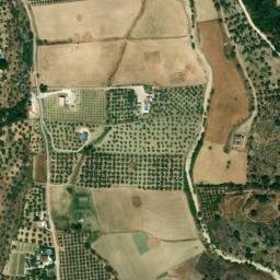Satellite imagery of survey_point, DZ