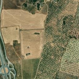 Satellite imagery of survey_point, DZ