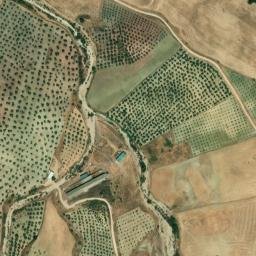Satellite imagery of survey_point, DZ