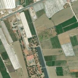 Satellite imagery of survey_point, DZ