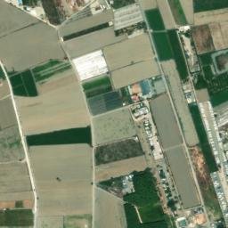 Satellite imagery of survey_point, DZ