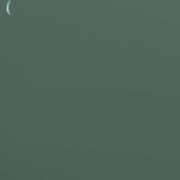 Satellite imagery of survey_point, DZ