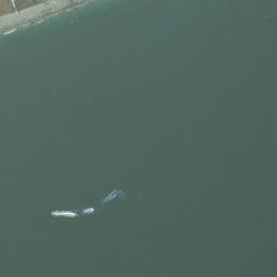 Satellite imagery of survey_point, DZ