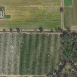 Satellite imagery of CORN — NGS GT1390 — Fresno County, US, US