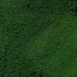 Satellite imagery of Pine Spur, US