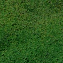 Satellite imagery of Bear Ridge, US