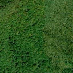 Satellite imagery of Bear Ridge, US