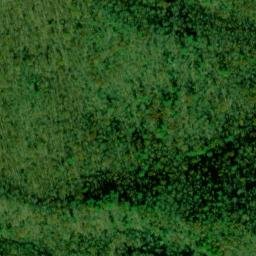 Satellite imagery of Bear Ridge, US