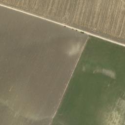 Satellite imagery of survey_point, DZ