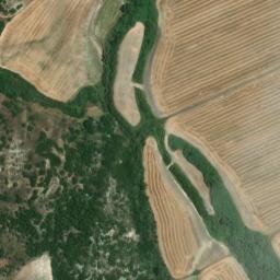 Satellite imagery of survey_point, DZ