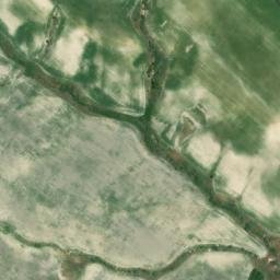 Satellite imagery of survey_point, DZ